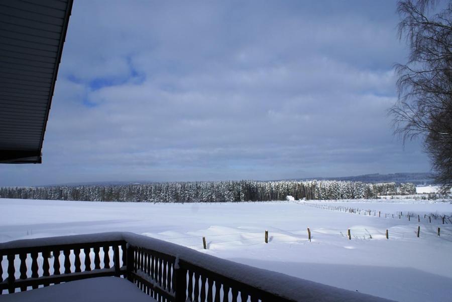 Le Loup Gris - 35 pers - Vue-Wellness, Butgenbach-Malmedy Villa Eksteriør billede
