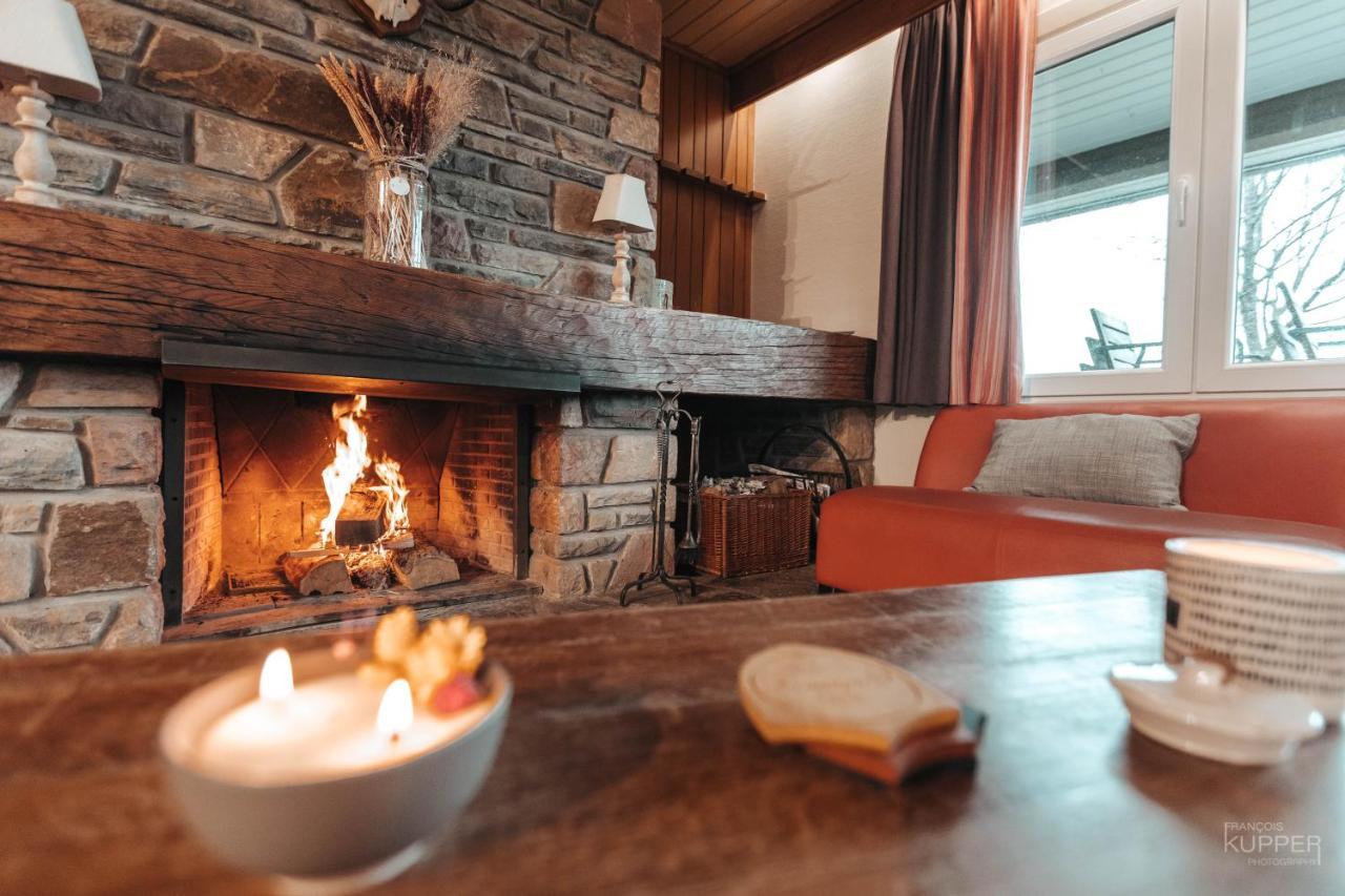 Le Loup Gris - 35 pers - Vue-Wellness, Butgenbach-Malmedy Villa Eksteriør billede