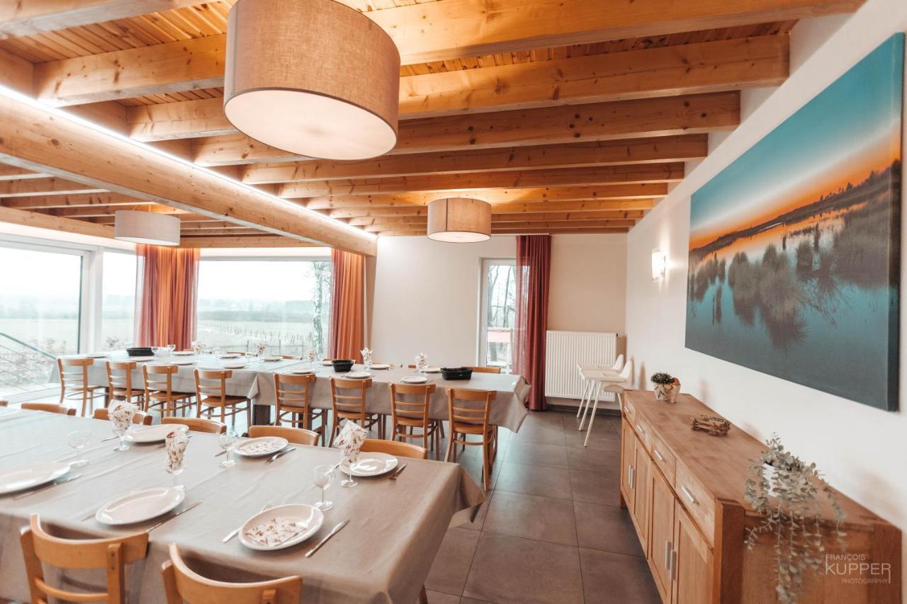Le Loup Gris - 35 pers - Vue-Wellness, Butgenbach-Malmedy Villa Eksteriør billede